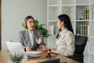 ALPC permanent orders Two people discussing legal documents during a consultation